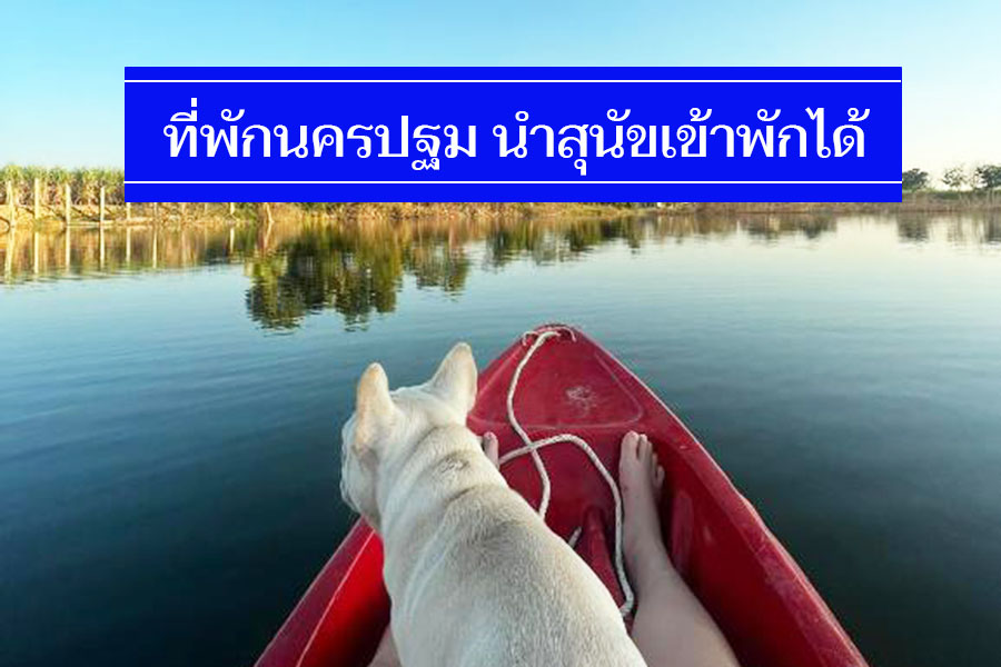 ที่พักนครปฐม นำสัตว์เลี้ยงเข้าพักได้