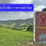 ถูกจริง 9 ที่พักวังน้ำเขียว ราคาไม่เกิน 500-900 บาท สุดประหยัด