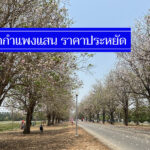 สุดคุ้ม 10 ที่พักกำแพงแสน ราคาไม่เกิน 500-900 ใกล้ ม.เกษตร