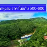 ถูกจริง 11 ที่พักทุ่งสง ราคาไม่เกิน 500-700 มีงบน้อย นอนพัก ประหยัดตัง