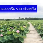 ถูกจริง 12 ที่พักแถววารินชำราบ ราคาไม่เกิน 500-700 มีงบน้อย นอนสบาย