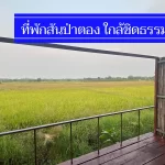 ถูกจริง 9 ที่พักสันป่าตอง ราคาไม่เกิน 500-700 นอนพักใกล้ชิดธรรมชาติ