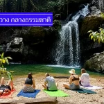 รวมใหม่ 11 ที่พักแม่วาง วิวสวย ใกล้ชิดป่า ราคาประหยัด ท่ามกลางธรรมชาติ