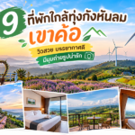 9 ที่พักใกล้ทุ่งกังหันลมเขาค้อ วิวสวย บรรยากาศดี มีมุมถ่ายรูปน่ารัก